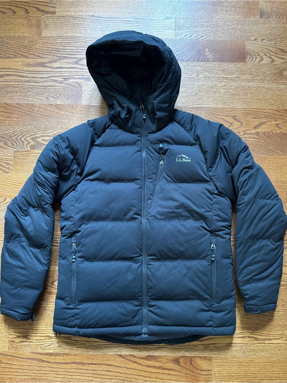 L.L.Bean Men’s Wind Challenger 850 Down Hooded Puffer Jacket Black M